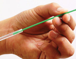 Sheep Artificial Insemination